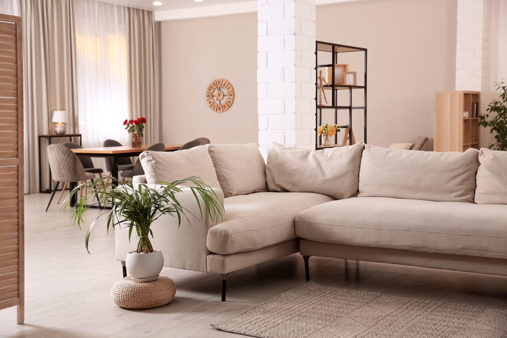 Quel canapé choisir pour votre salon